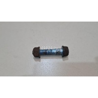 Болт переднего амортизатора Nissan Qashqai (J10) (2006 - 2014) 40056JG00A