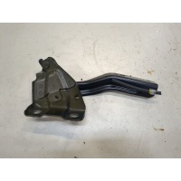 Петля капота Nissan Murano 2014- 2015 654005AA0A