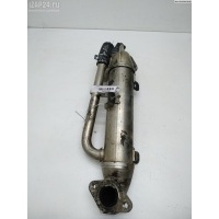 Охладитель отработанных газов Volkswagen Passat B5+ (GP) 2005 038131513s