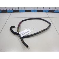 Патрубок Ford Focus II (2008 - 2011) 1425192