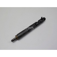 Форсунка дизельная электрическая Renault Clio III (2005 - 2012) 166000897R