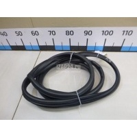 Уплотнитель двери Ssang Yong Kyron (2005 - 2015) 7312009000LAM