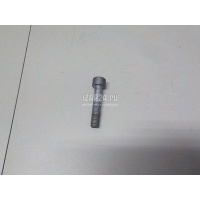 Болт ШРУСа VAG Allroad quattro (2006 - 2012) N90097204