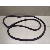 Уплотнитель двери Chevrolet Lacetti 2003-2013 96548238