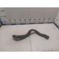 Патрубок радиатора Renault Scenic III (2009 - 2015) 215010021R