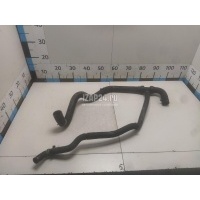Патрубок радиатора Renault Scenic III (2009 - 2015) 215030032R
