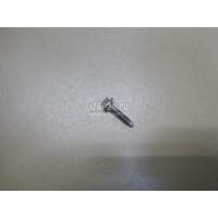 Болт Renault Scenic III (2009 - 2015) 8200635079