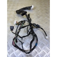 Проводка двери Nissan Pathfinder (R51M) 2004-2013 2006 24124EB804