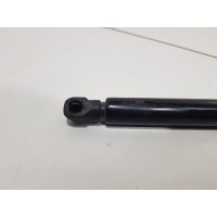 Амортизатор багажника Faw Besturn X80 2013- 5CA062620A