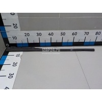 Уплотнитель двери Renault Duster II 2021 808318695R