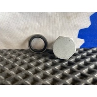 пробка поддона Volvo FH4 20571854