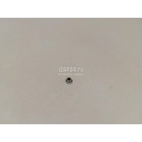 Гайка GM Astra F (1991 - 1998) 2064884