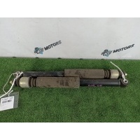 Амортизатор Nissan Tiida C11 2006 E6210ED00A