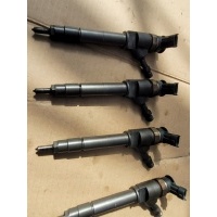Форсунки 2 шт 0445110250 wlaa 13h50 bosch