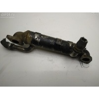 Охладитель отработанных газов Seat Alhambra (2000-2010) 2003 038131513P