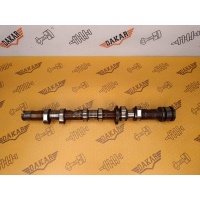 Распредвал выпускной Audi A6 C6 2010 06E109102AK, 06E109102AB