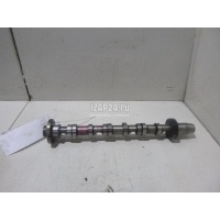 Распредвал впускной VAG Q7 [4L] (2005 - 2015) 059109021DS