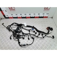 Проводка (жгут проводов) Peugeot 207 (2006-2014) 2009 V754806580
