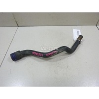 Патрубок радиатора Renault Laguna II (2001 - 2008) 8200187083