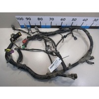 Проводка (коса) Nissan Micra (K12E) (2002 - 2010) 24011BC001