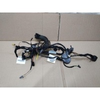 Проводка двери задней левой Audi A6 C7 2011 4G5971687AJ,4G5971693C