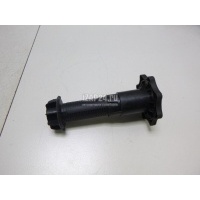 Болт крепления запасного колеса VAG A4 [B7] (2005 - 2007) 8E0803899B