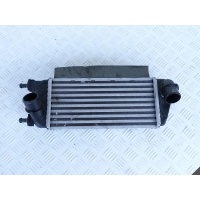 Fiat 500 панда форд ка интеркулер 51855481