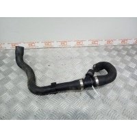 Патрубок охлаждения Ford Focus 2 (2004-2011) 2009 2027463