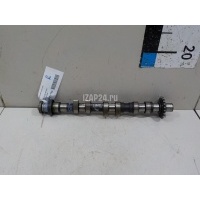 Распредвал выпускной VAG A8 [4D] (1994 - 1998) 078109022