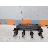 Катушка зажигания Peugeot 206 2A/C 2002 5970A8