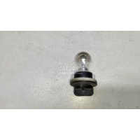 Патрон лампы Ford Fiesta (2001 - 2008) 1500629