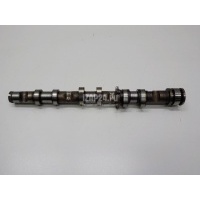 Распредвал выпускной VAG A6 [C6,4F] (2004 - 2011) 06E109102AK