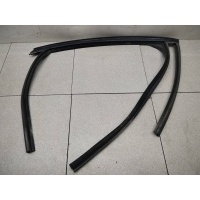 Уплотнитель стекла двери задней правой ford Focus II 2005-2011 1743914