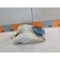 Бачок омывателя лобового стекла Volkswagen Pointer CA45 2005 377955453A