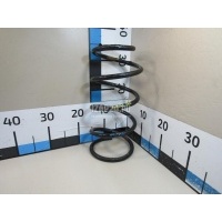 Пружина передняя Ford C-MAX (2003 - 2010) 1305334