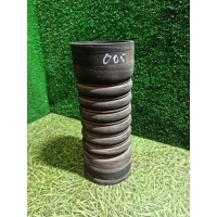 Патрубок интеркулера Renault Magnum 2006 5010315487