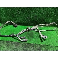 Проводка DAF XF 105 2007 1747361
