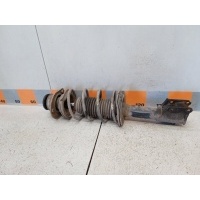 Амортизатор передний Fiat Albea 178 2009 51708824