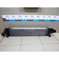 Интеркулер Ford Focus II (2008 - 2011) 1353523