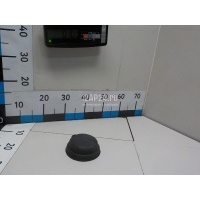 Крышка фары Chrysler 300C (2004 - 2010) 5139058AA