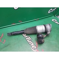 Пневмостойка AUDI A8L D3 2005 4E0616001E, 4E0616001N