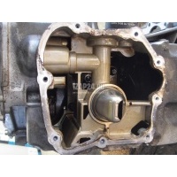 Двигатель Renault Duster 2012 8201605116