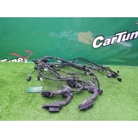 Проводки дверей BMW 3 E46 2004 61116913074, 61116913080, 61126913085