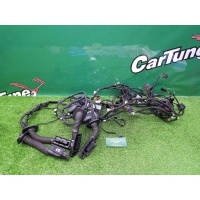 Проводки дверей AUDI A5 8T 2011 8T8971029AA, 8T8971687L, 8T8971688L, 8T8971030AA