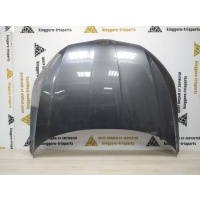 Капот Skoda Octavia A8 NN3 2019-2022 5E3823031A