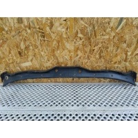 Решетка стеклоочистителя (Дождевик) BMW 5 E39 2001 5171 8159292
