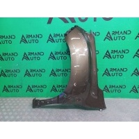 Крыло Renault Duster 2 2021-нв 631019305R