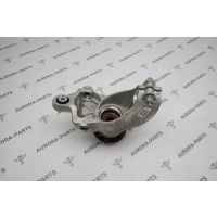 Кулак поворотный в сборе со ступицей задней подвески LH Land Rover Range Rover 30DDTX L538 2011 LR024483