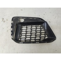 Решетка бампера BMW 5er G30 2020- 51118098670
