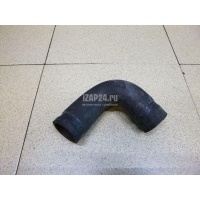 Патрубок радиатора Fiat Ducato 244 (+Elabuga) (2002 - 2006) 504050434